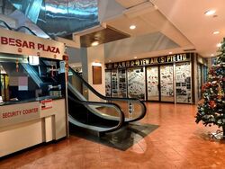 Jalan Besar Plaza (D8), Shop House #510600981